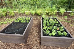 05B08483-08CE-4C3F-B3BF-398BF7E750C5_4_5005_c