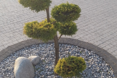 20180421_184823