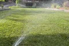 2B5ABD1A-C94F-4EAE-A098-54558C2F0870_1_102_o