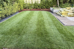 B8628DFC-0788-49BC-91CF-CE1BDF313BA0_1_102_o